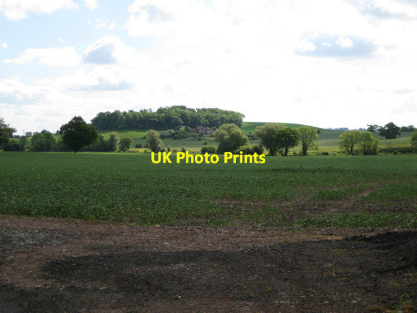 Photo 6"x4" Edge of a field of beans Bishop's Tachbrook c2010