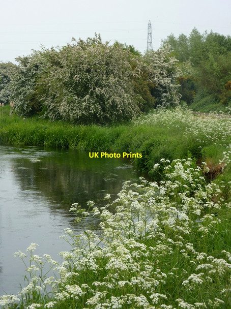 Photo 6"x4" Springtime by the River Idle Bolham\/SK7082 c2010