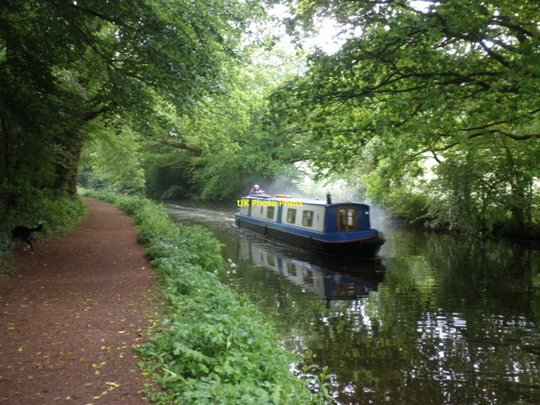 Photo 6"x4" The Victor heads east, on the Grand Western Canal Halberton c2010