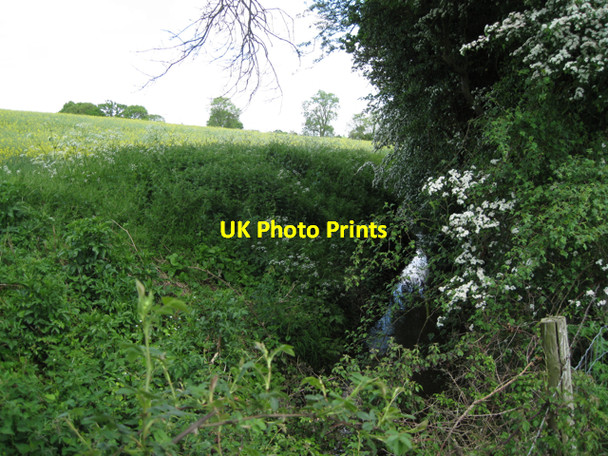Photo 6"x4" A glimpse of the Tach Brook Bishop's Tachbrook c2010