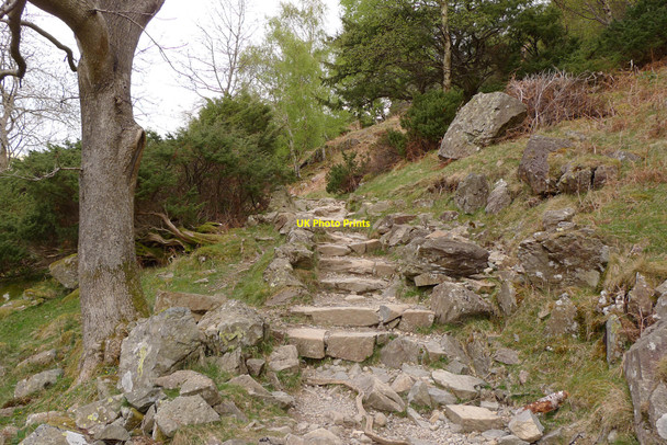 Photo 6"x4" Path above Ullswater Glenridding c2010