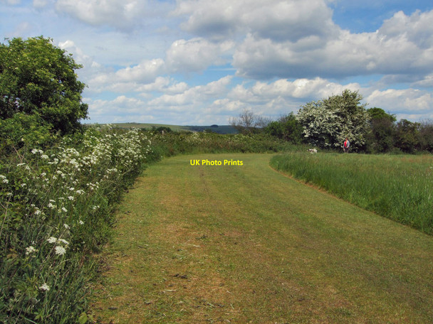 Photo 6"x4" Green Ridge Brighton\/TQ3106 c2010