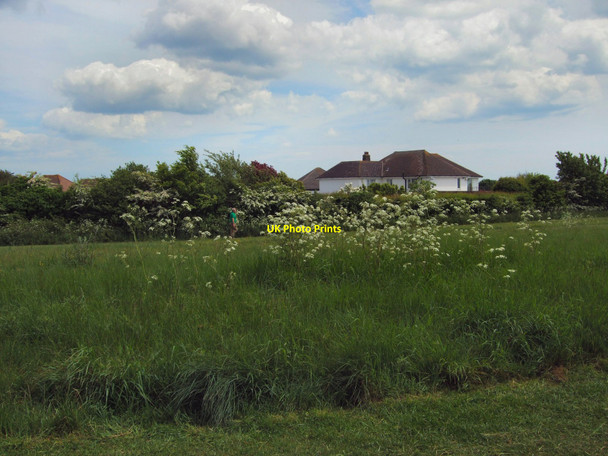 Photo 6"x4" Flowers on the Green Ridge Westdene c2010