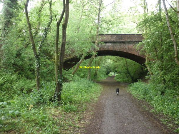 Photo 6"x4" Road bridge, over the former Tiverton branch Tiverton\/SS9512 c2010
