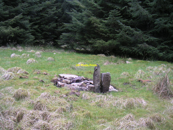 Photo 6"x4" The Pedlar's Stone, Stell Bush Edge Nether Cassock c2008 P1