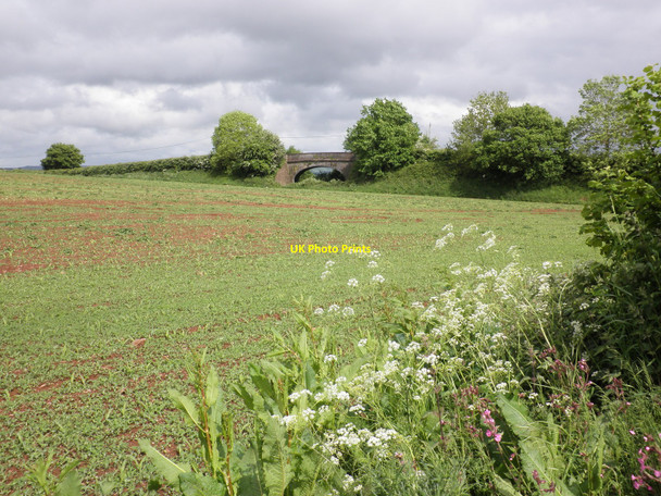 Photo 6"x4" Line of former Tiverton branch Halberton c2010