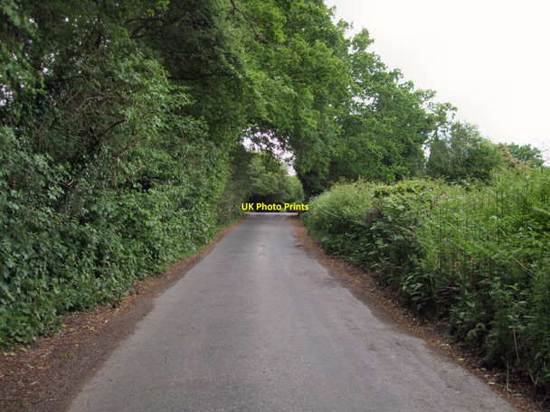 Photo 6"x4" Nan Tucks Lane Etchingwood c2010