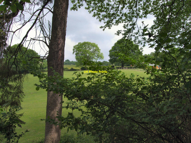 Photo 6"x4" Warren Farm Etchingwood c2010