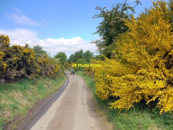 Photo 6"x4" Minor road south of Great Tosson Newtown\/NU0300 c2010