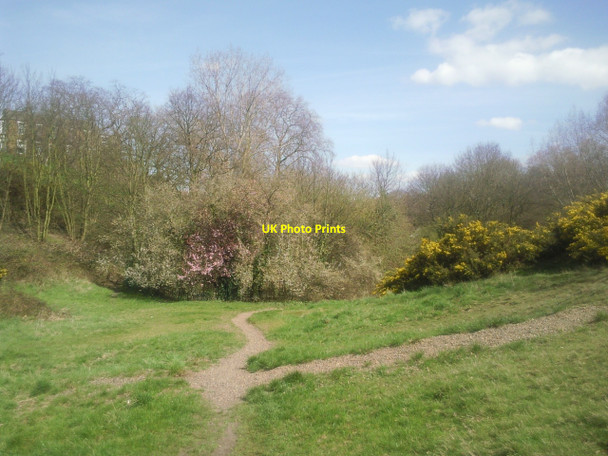 Photo 6"x4" The Slade, Plumstead Common Bexley c2010