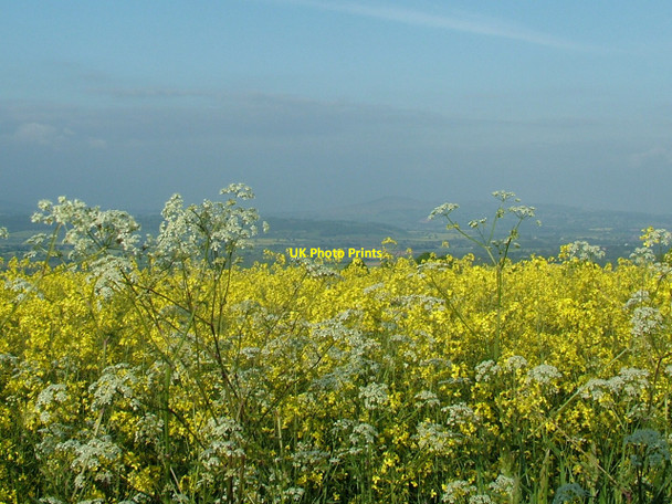 Photo 6"x4" Blue remembered hills Duxmoor\/SO4477 c2010