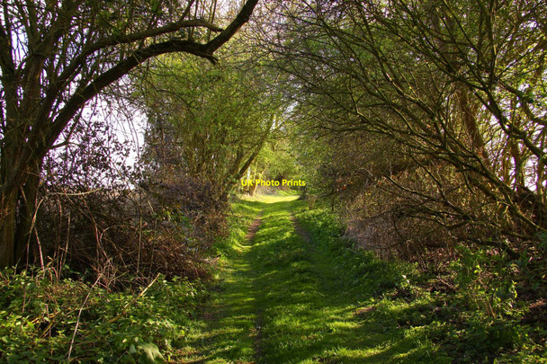 Photo 6"x4" Bridleway to Brightwell Baldwin Brightwell Baldwin c2010