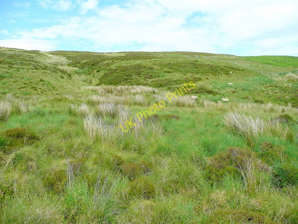 Photo 6"x4" Hillside north of the Eunant Fawr Moel y Cerrig Duon c2009