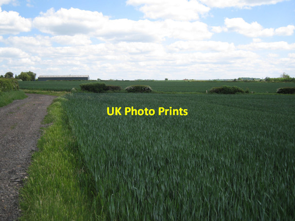 Photo 6"x4" More gap than hedge Chesterton Green c2010