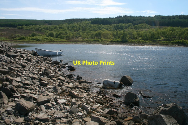 Photo 6"x4" Cooling off in Loch Shin Lairg Muir c2010