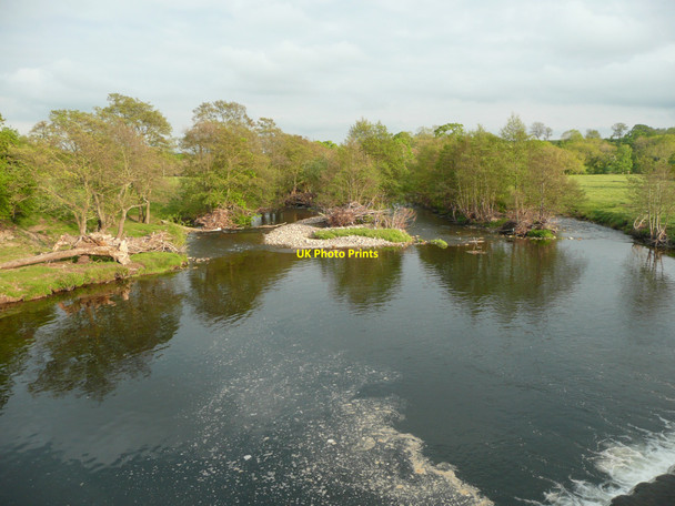 Photo 6"x4" The River Coquet, Brinkburn Healey Cote c2010