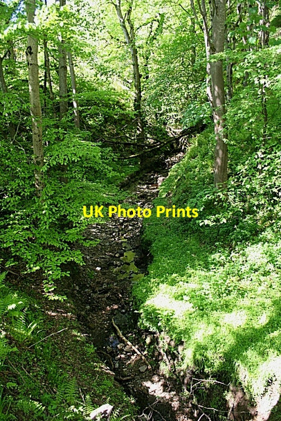 Photo 6"x4" Torehead Burn Gardenstown c2010