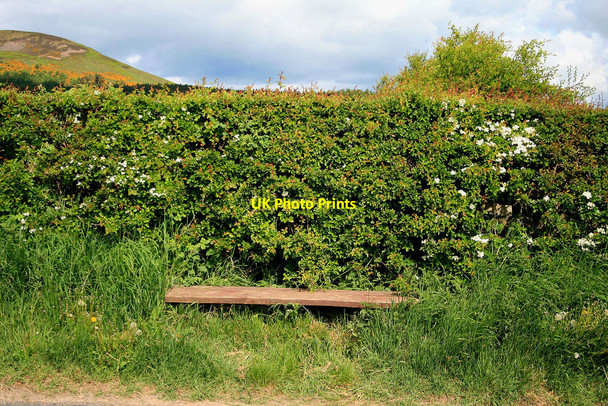 Photo 6"x4" A simple bench Newton St Boswells c2010