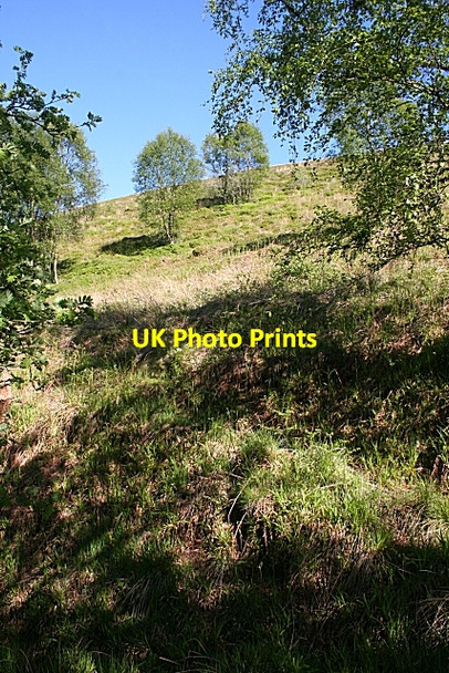 Photo 6"x4" Ascending Muckle Doups Glenhouses c2010