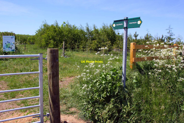 Photo 6"x4" Footpaths at Wytham Wolvercote c2010