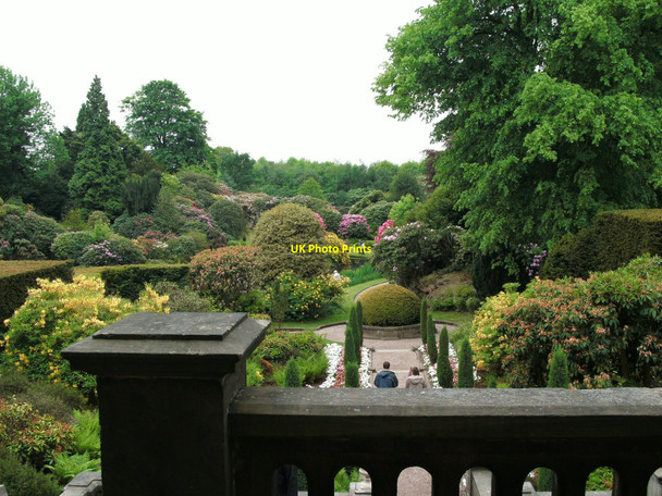 Photo 6"x4" Biddulph Grange Garden Biddulph c2010