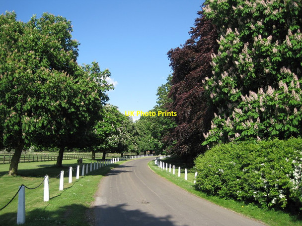 Photo 6"x4" Drive to Wiseton Hall in Spring Wiseton c2010