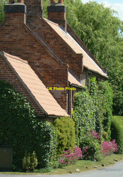 Photo 6"x4" Red roofs, red flowers Barton in Fabis c2010