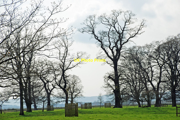 Photo 6"x4" Levens Hall near Kendal Causeway End\/SD4885 c2010