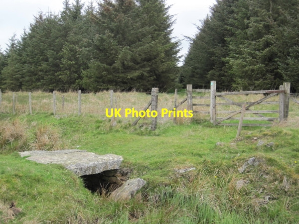 Photo 6"x4" Footbridge over Back Dike Tindale c2010