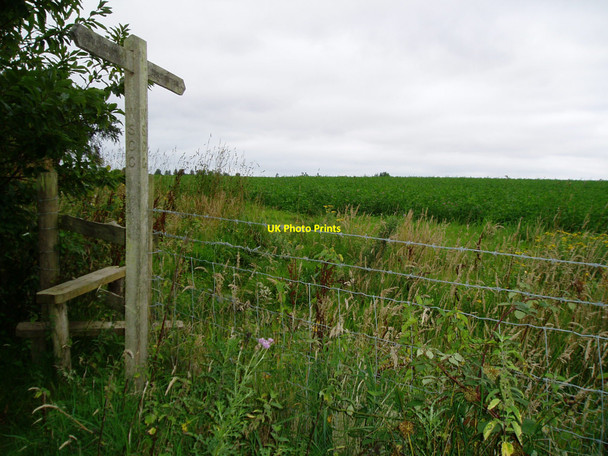 Photo 6"x4" Stile and Fingerpost on footpath 2201 Hammerpot c2009