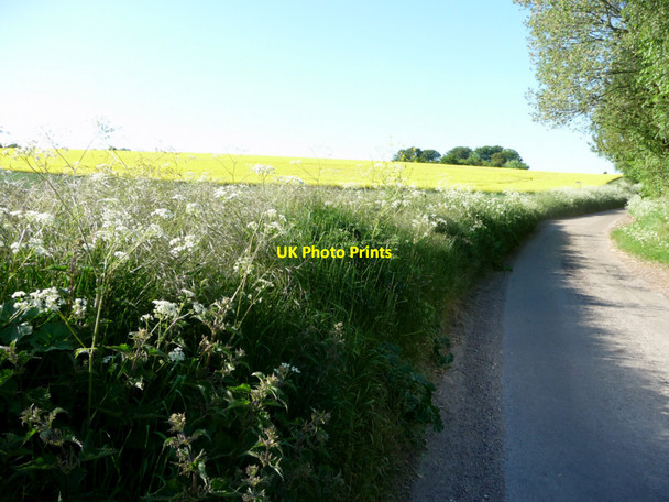 Photo 6"x4" Farmland near Barwick Road Standon\/TL3822 c2010