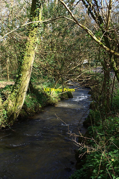 Photo 6"x4" Stream Running towards Gillan Creek Carne\/SW7724 c2010
