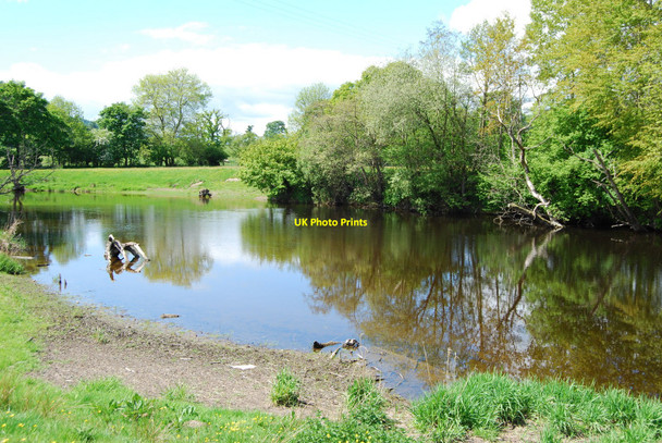 Photo 6"x4" Afon Dyfrdwy at Pont Cilan Llandrillo c2010