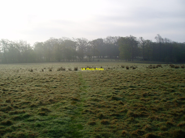 Photo 6"x4" Early morning dew Flackley Ash c2010