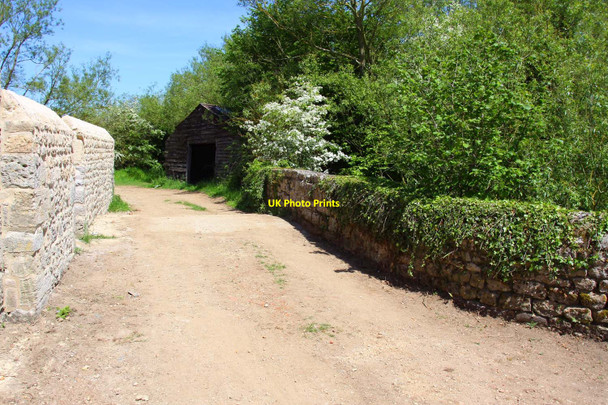 Photo 6"x4" Bridge over the millstream at Wytham Mill Wolvercote c2010
