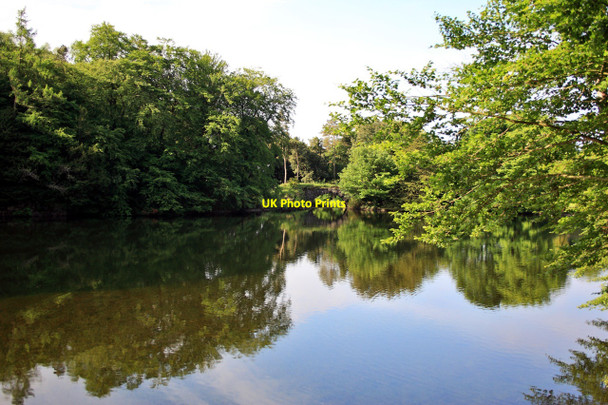 Photo 6"x4" The Lake, Clapham Beck Clapham\/SD7469 c2010
