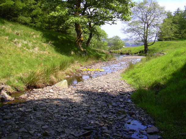 Photo 6"x4" Stream, Grane Flax Moss c2010