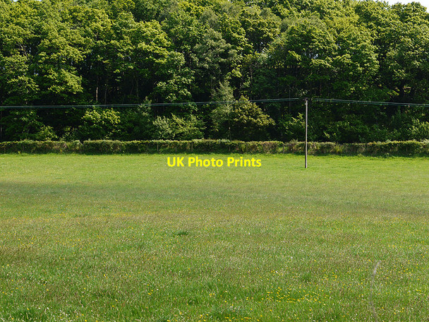 Photo 6"x4" Field near Glyn farm Llanidloes c2010
