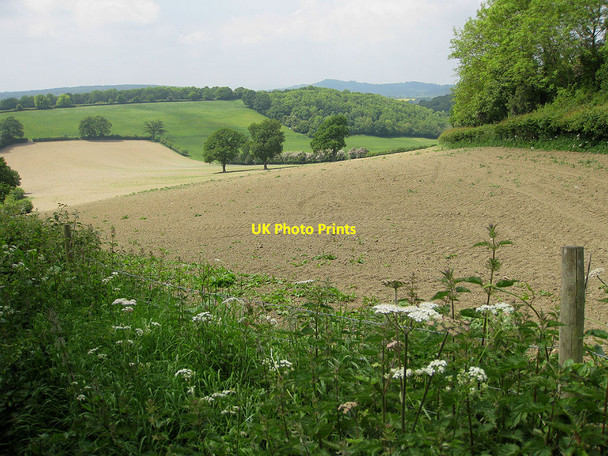Photo 6"x4" Sloping farmland, west of Marcle Hill Woolhope\/SO6135 c2010