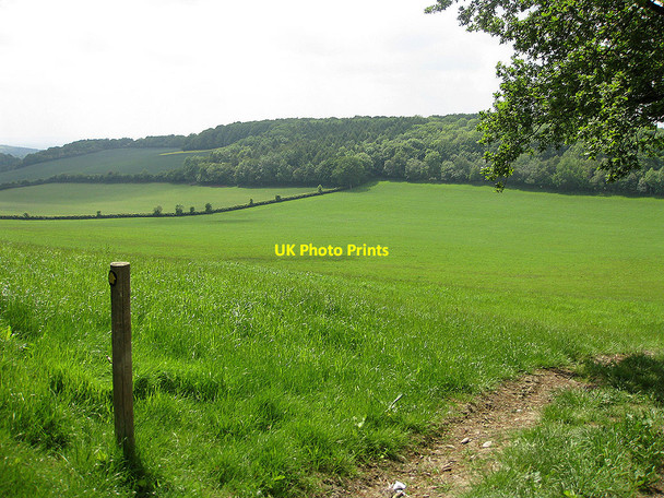 Photo 6"x4" Lush pastures west of Marcle Hill Woolhope\/SO6135 c2010