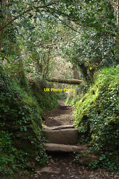 Photo 6"x4" Stile on the Footpath Manaccan c2010