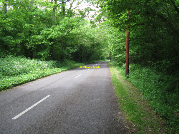 Photo 6"x4" Skiff Lane north to Loxwood Wisborough Green c2010