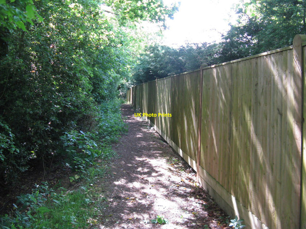 Photo 6"x4" Property boundary fence at Grigg's Gate Roundstreet Common c2010