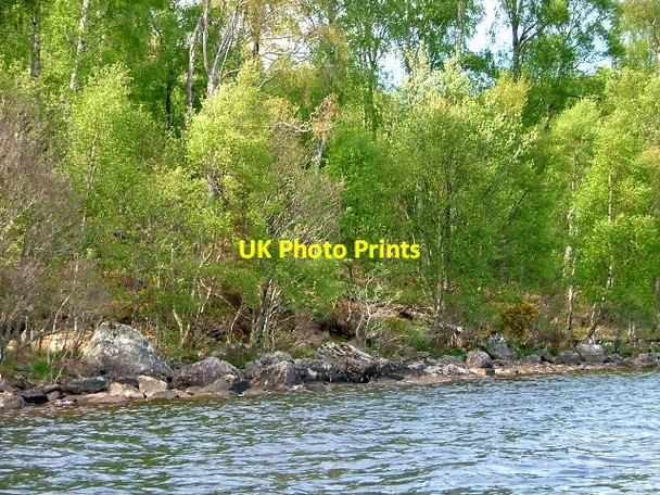 Photo 6"x4" Loch Rannoch Shoreline Killichonan c2010