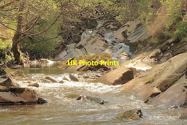 Photo 6"x4" Carie Burn Carie Burn c2010