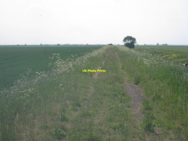 Photo 6"x4" Track to Sadland Farm Holland Fen\/TF2349 c2010