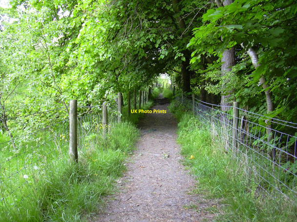 Photo 6"x4" Path to Irwell Vale, Rossendale, Lancashire Ewood Bridge c2010