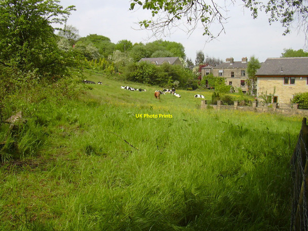 Photo 6"x4" Meadow, Irwell Vale, Rossendale, Lancashire Ewood Bridge c2010