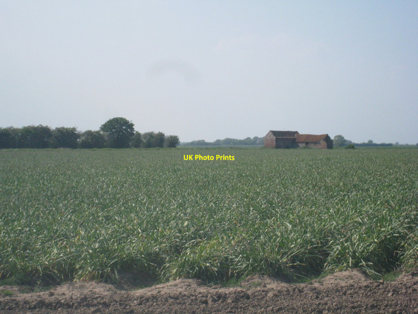 Photo 6"x4" Reed Point Farm Reed Point\/TF2051 c2010