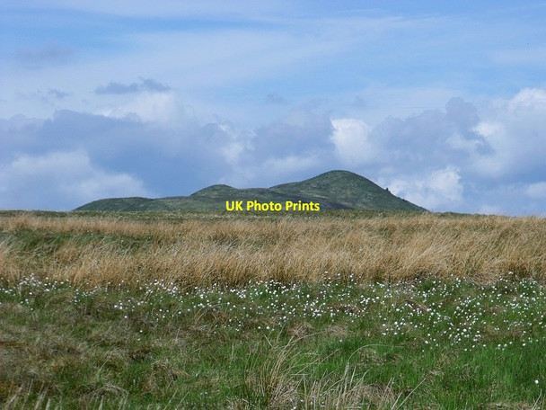 Photo 6"x4" Rough grasses on the plateau. Balmalloch\/NS7078 c2010